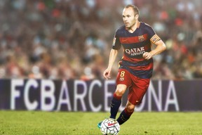 公牛主场训练首次对媒体开放球迷反响热烈，公牛队的主场在哪