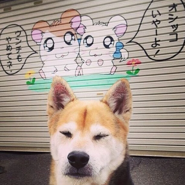 开云网页版登录入口-青少年体育训练体系建设，2020年青少年体育工作要点