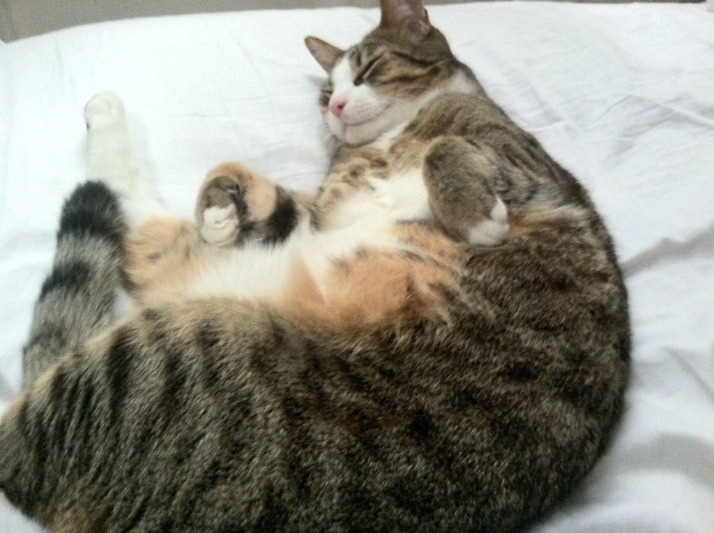 中国三人篮球女队优化人员配置提升效率，中国三人篮球女生