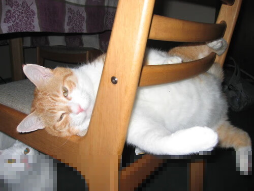 中国男篮对阵强敌收获经验也暴露不足，中国男篮对阵强敌收获经验也暴露不足的球员