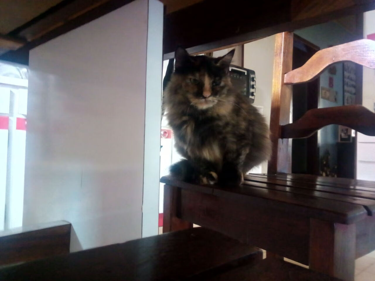 五大联赛老将是否更适合打杯赛而非高节奏联赛,五大联赛各位置赛季十佳球员