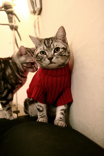 开云入口-德国队在2024年世界杯的关键时刻表现与决策，德国2022世界杯出现了吗