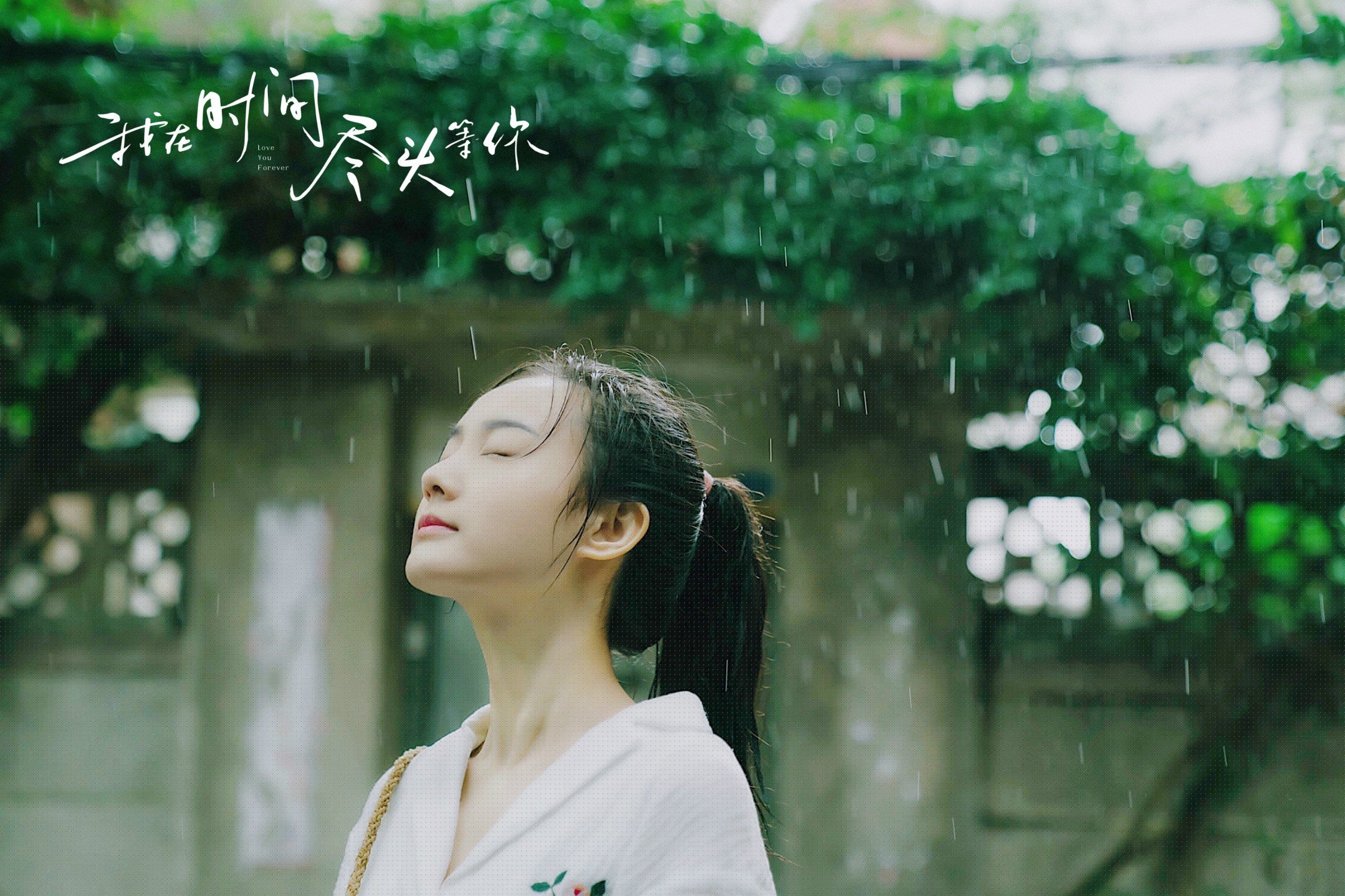 新加坡队赛制研究：如何在复杂赛制中提高整体作战能力，新加坡赛制注重什么