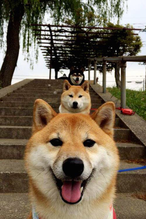 乔治·巴尔：以稳健的防守和精妙传球成为全黑队中场核心，乔治巴斯