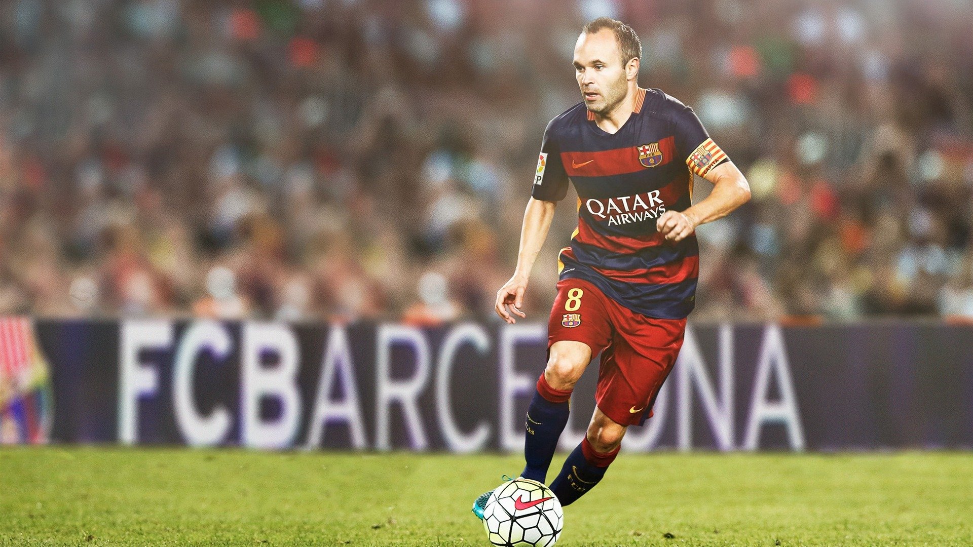 公牛主场训练首次对媒体开放球迷反响热烈，公牛队的主场在哪